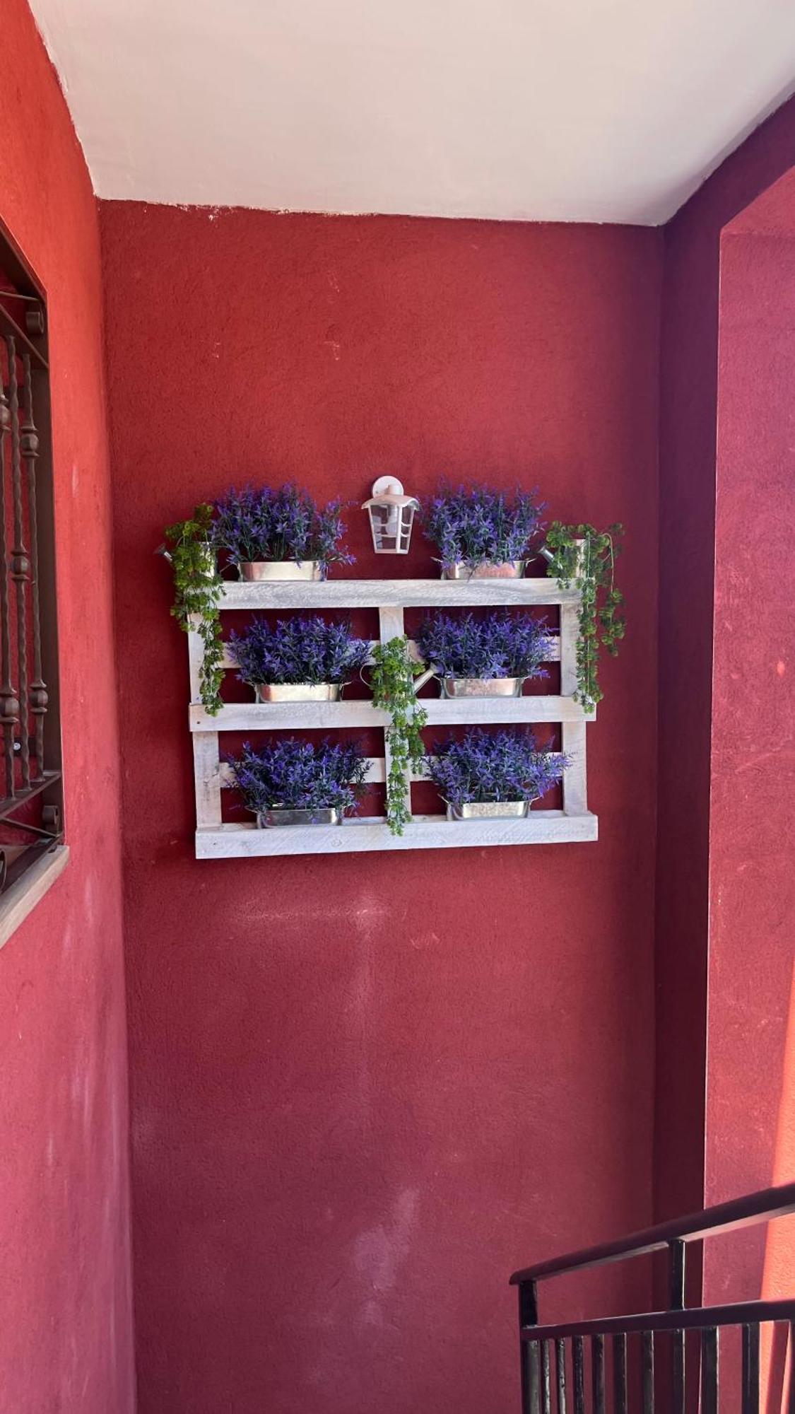 Apartamentos Praderas Pantano San Juan Pelayos de la Presa Exterior foto